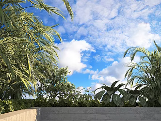 Modern shrubs 3d model
