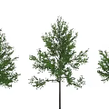 Decorative Ornament Sets with Three Green Trees in Various Sizes and Human Figure Scale