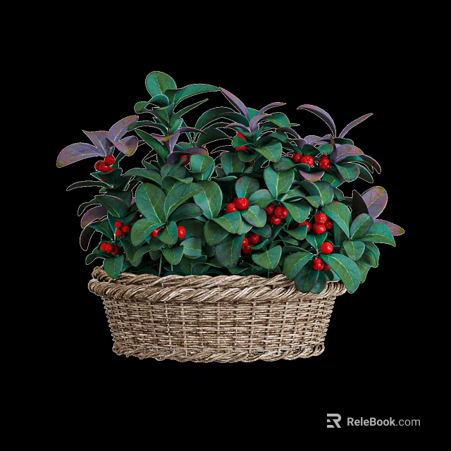 Decorative Woven Basket With Green Purple Leaves And Red Berries Plant 3d model 