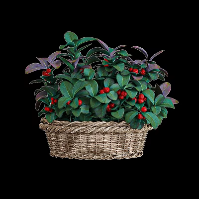 Decorative Woven Basket With Green Purple Leaves And Red Berries Plant 3d model