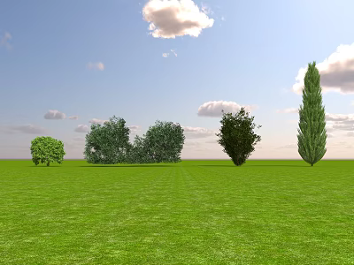 Different Types of Shrubs Growing on Green Grass Field Under Blue Sky With White Clouds 3d model