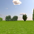 Different Types of Shrubs Growing on Green Grass Field Under Blue Sky With White Clouds