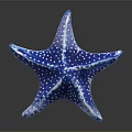 Blue Starfish with White Spots and Reflection on Dark Surface in Aquatic Scene