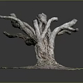 Rustic Wooden Stump With Twisted Branches Green Moss And Circular Base 3d model