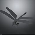 Gray Dragonfly Model With Spread Wings On Dark Background Surface 3d model