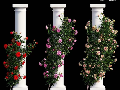 Garden Ornaments With White Pillars And Climbing Red Pink Beige Roses 3d model