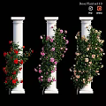 Garden Ornaments With White Pillars And Climbing Red Pink Beige Roses