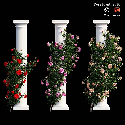 Garden Ornaments With White Pillars And Climbing Red Pink Beige Roses 3d model