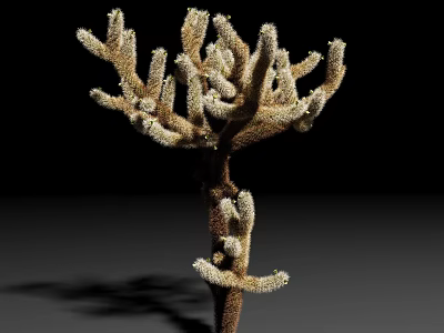 Unique Branching Succulent Plant With White Fuzzy Spines And Brown Stem 3d model