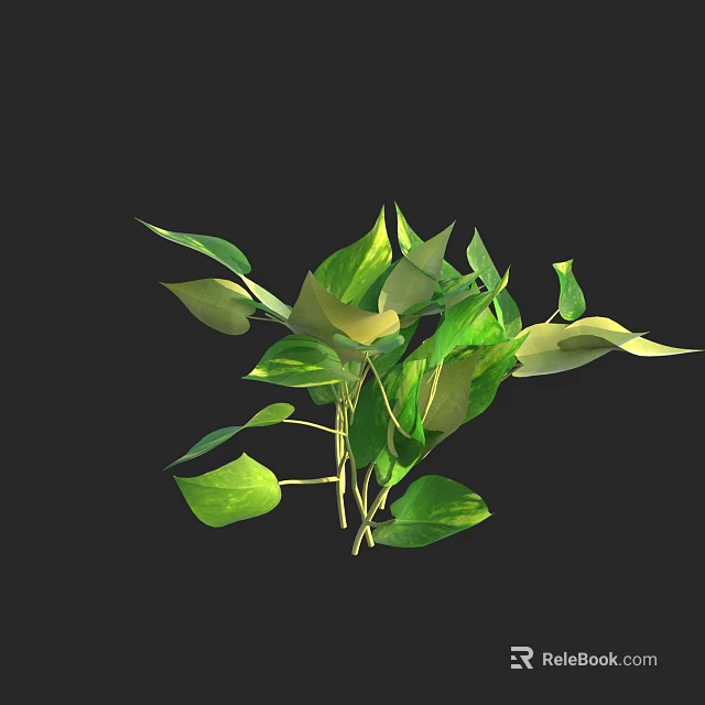 Lush Pothos Plant With Vibrant Green Leaves And Yellow Edges 3d model 