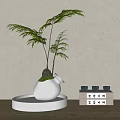 Indoor Bonsai Plant In White Ceramic Pot With Lush Green Leaves And Decorative Tray