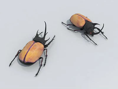 Two Horned Reptiles Featuring Orange And Black Carapaces On White Background 3d model