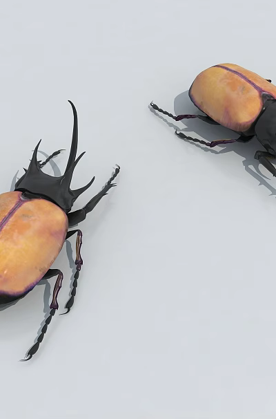 Two Horned Reptiles Featuring Orange And Black Carapaces On White Background 3d model