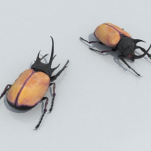 Beetle Unicorn 3d model