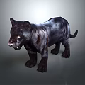 Striking Black Panther Standing With Shiny Black Fur On Gray Studio Background