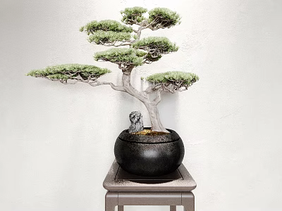 Bonsai Plant in Black Ceramic Pot with Small Stone Statue on Wooden Stand 3d model