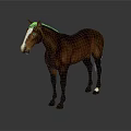 Brown Horse With White Face And White Hooves Standing On Grey Background