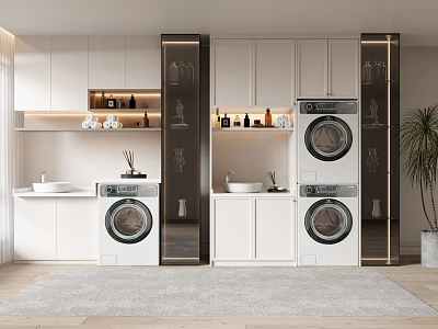 Modern White Bathroom Cabinetry Featuring Washing Machine Dryer Sink and Glass Doors 3d model