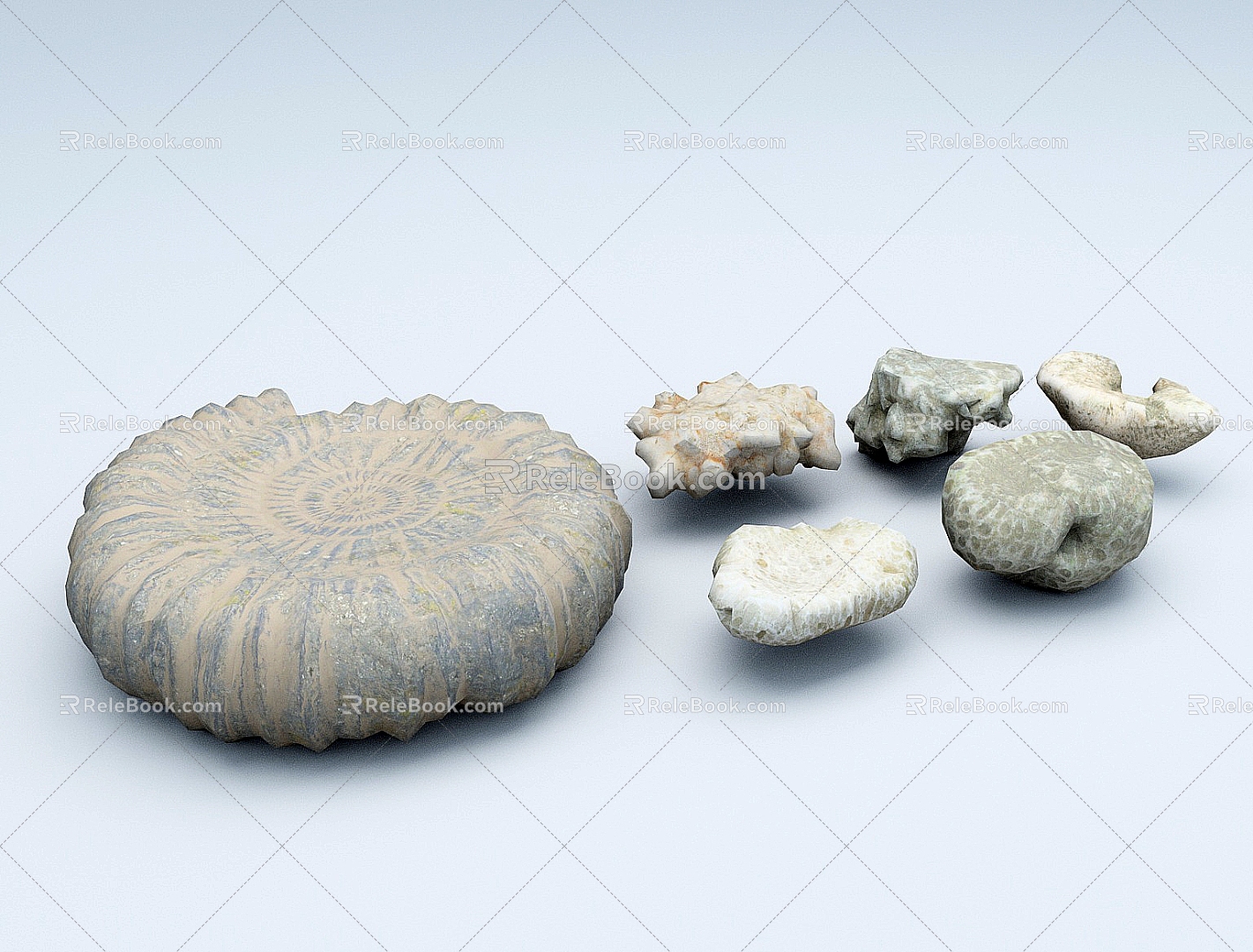 Stone Coral Reef Underwater Coral Seaside 3d model