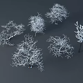 Multiple Leafless Arbor Trees With Intricate Branches On Gray Background