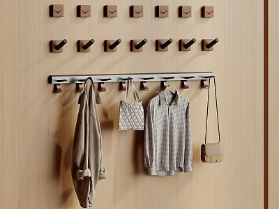 Wooden Wall With Multiple Hooks Holding Coats Shirt And Bags 3d model