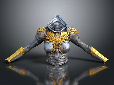 Ornate Medieval Hooded Armor With Silver Gold Accents And Shoulder Arm Details 3d model