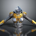 Ornate Medieval Hooded Armor With Silver Gold Accents And Shoulder Arm Details