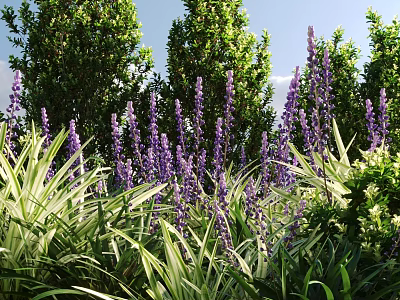 Lush Green Shrubs With Purple Flowers In Garden Landscape And Vibrant Foliage 3d model