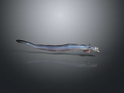 Slender Silver Aquatic Animal With Long Body And Reflection On Gray Surface 3d model