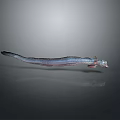 Slender Silver Aquatic Animal With Long Body And Reflection On Gray Surface 3d model