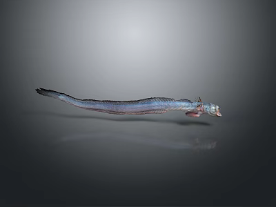 eel electric eel marine fish animal deep sea fish 3d model