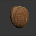 Brown Coconut with Textured Surface on Dark Background Showing Reflection 3d model