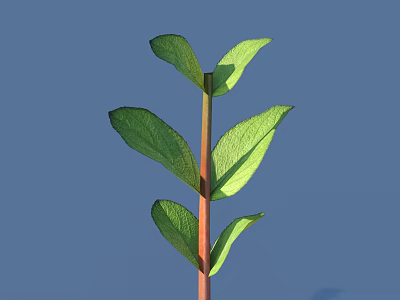 Green Plant With Red Stem And Fresh Leaves Against Blue Background 3d model