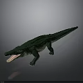 Detailed Green Crocodile with Open Mouth and Scales on Gray Background
