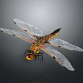 Detailed Dragonfly With Transparent Wings And Yellow Black Body In Flight