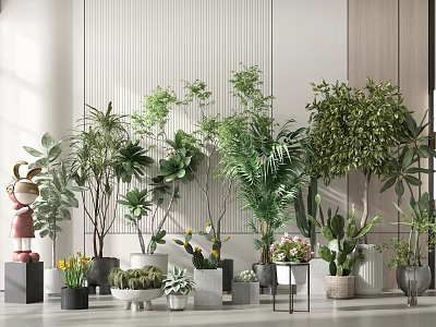 Various Indoor Bonsai and Potted Plants in Stylish Decorative Planters for Home Interior 3d model