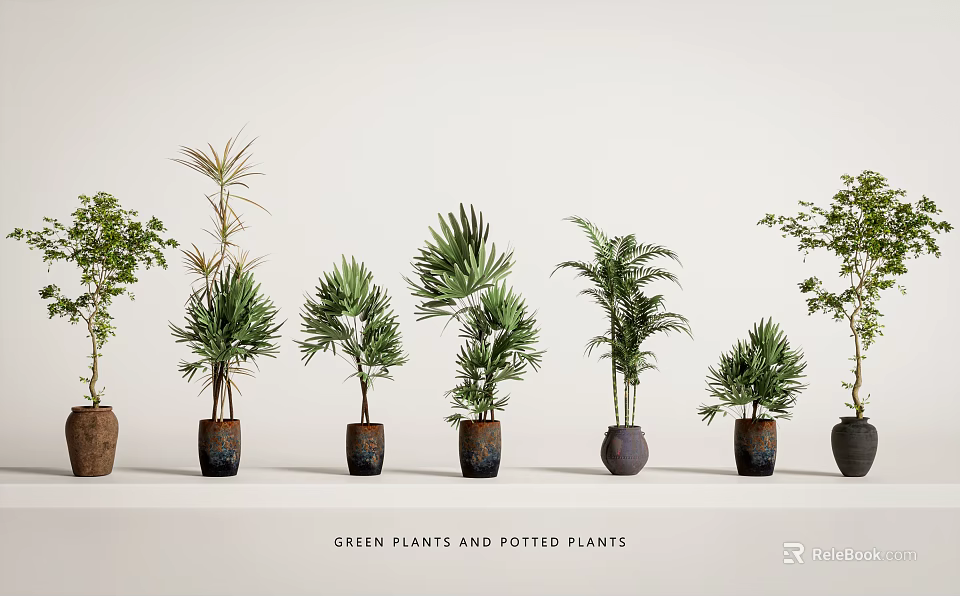 Beautiful Green Potted Plants With Various Indoor Plant Species And Decorative Pots 3d model 