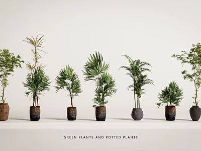 Beautiful Green Potted Plants With Various Indoor Plant Species And Decorative Pots 3d model