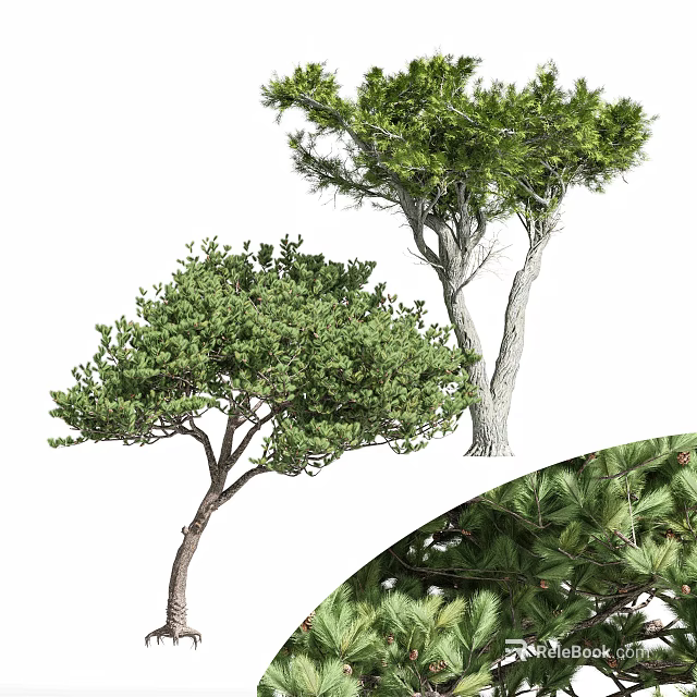 Lush Green Arbor With Dense Foliage Strong Trunk And Natural Growth Shape 3d model 