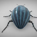 Blue Flying Beetle 3D Model With Metallic Legs And Long Antennae 3d model