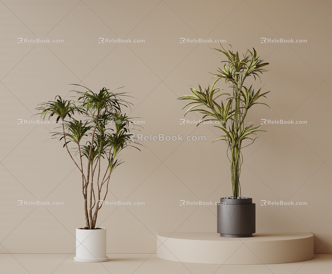 Green Plant Potted Plant Potted Plant Bonsai Flower Pot Indoor Plant 3d model