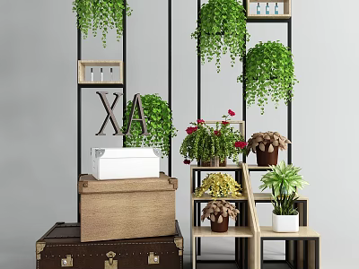 Indoor Green Plant Decor With Hanging Plants Shelves Wooden Chest Red Flowers And XA Sign 3d model