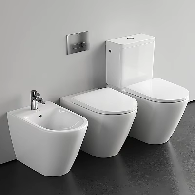 Sleek Modern White Toilet With Bidet And Wall Fixture In Bathroom 3d model