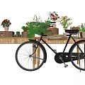 Vibrant Bonsai Potted Plants Placed On Wooden Table With Black Bicycle And Wooden Crates
