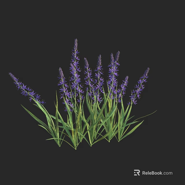 Vibrant Purple Flower Clusters With Lush Green Leaves In Natural Arrangement 3d model 