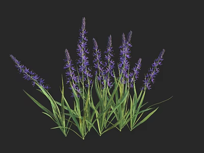 Vibrant Purple Flower Clusters With Lush Green Leaves In Natural Arrangement 3d model