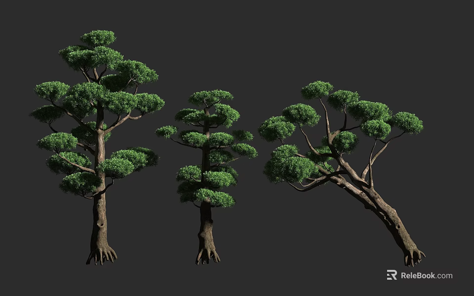 Various Arbor Trees With Lush Green Foliage And Diverse Trunk Structures 3d model 