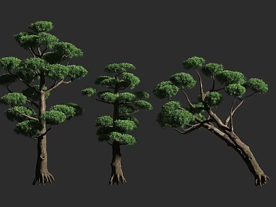 Various Arbor Trees With Lush Green Foliage And Diverse Trunk Structures 3d model