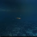 Blue Underwater Ocean Floor With Vibrant Coral Reef And Swimming Fish