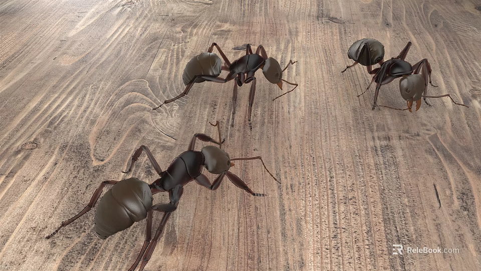 Reptiles Crawling On Natural Wooden Floor Surface 3d model 